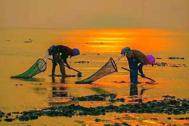 【读历史游盘锦】几许渔人飞短舟，尽载灯火归村路渤海金滩蛤蜊岗