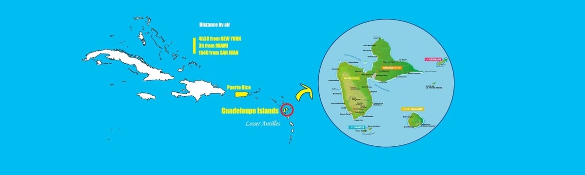 凤梨名字的由来,凤梨名字由来