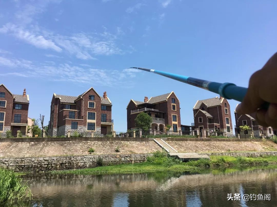 野钓用鲫鱼竿还是综合竿,野钓鲫鱼选鲫鱼竿还是综合竿