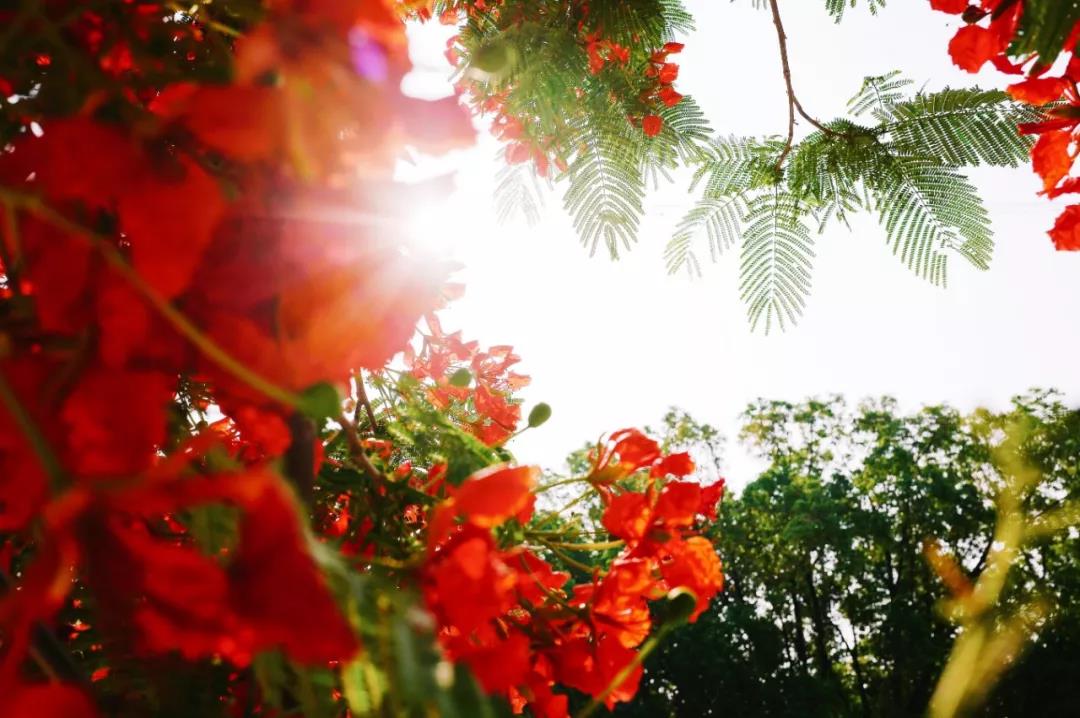 开远是哪个地方,开远市离边境多远