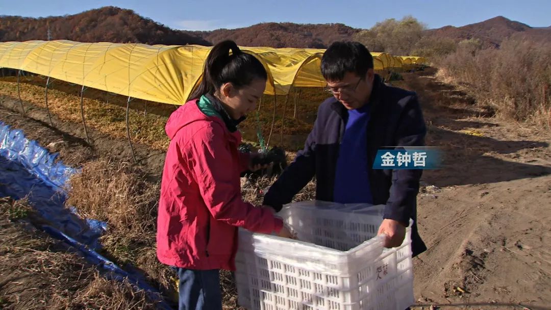 他用9年颠覆一个行业模式，获得千万财富的背后竟是因为花样折腾