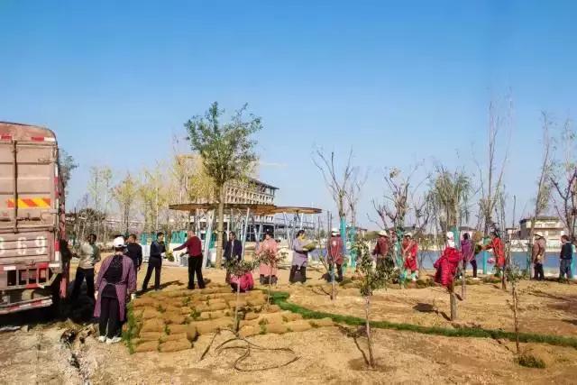 最全大荔旅游攻略拿走不谢,大荔必去4个景点