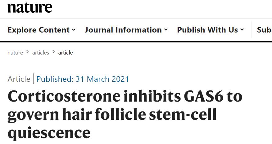 “压力秃”有可能逆转，英国《自然》杂志揭秘毛囊是怎样被压垮的