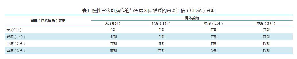 中国慢性胃炎诊疗指南,慢性胃炎基层诊疗指南