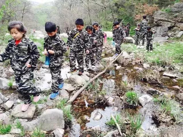 从零开始打造一个优质亲子农庄,从亏损近2亿到盈利35亿的逆袭