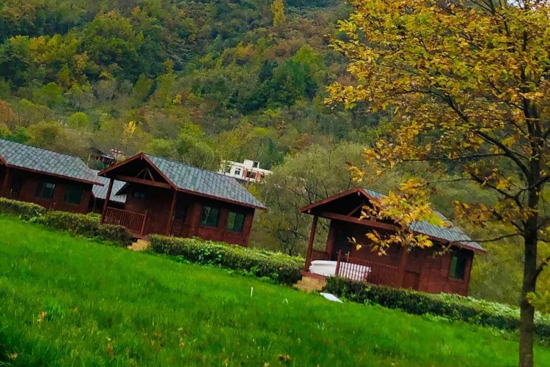 大美中国甘肃康县,央视大美中国甘肃康县