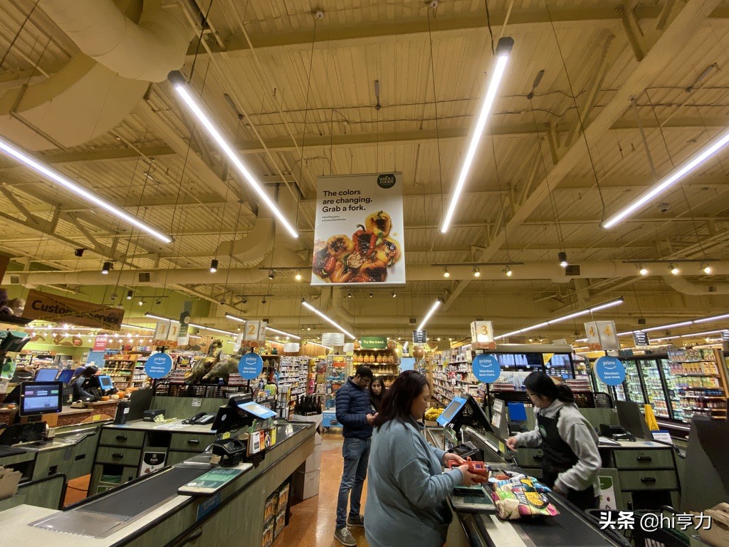 旧金山旅行指南,玩转旧金山