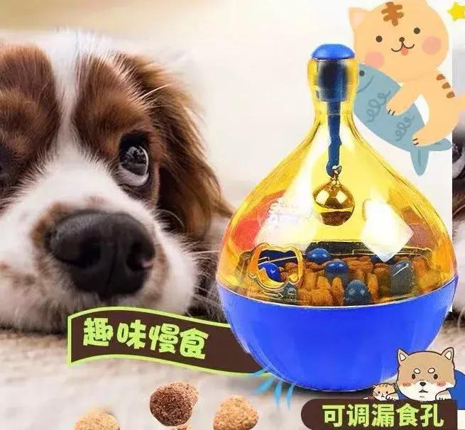 「活动」表达爱的方式有很多，选择联萌宠物餐厅是最直接的一种