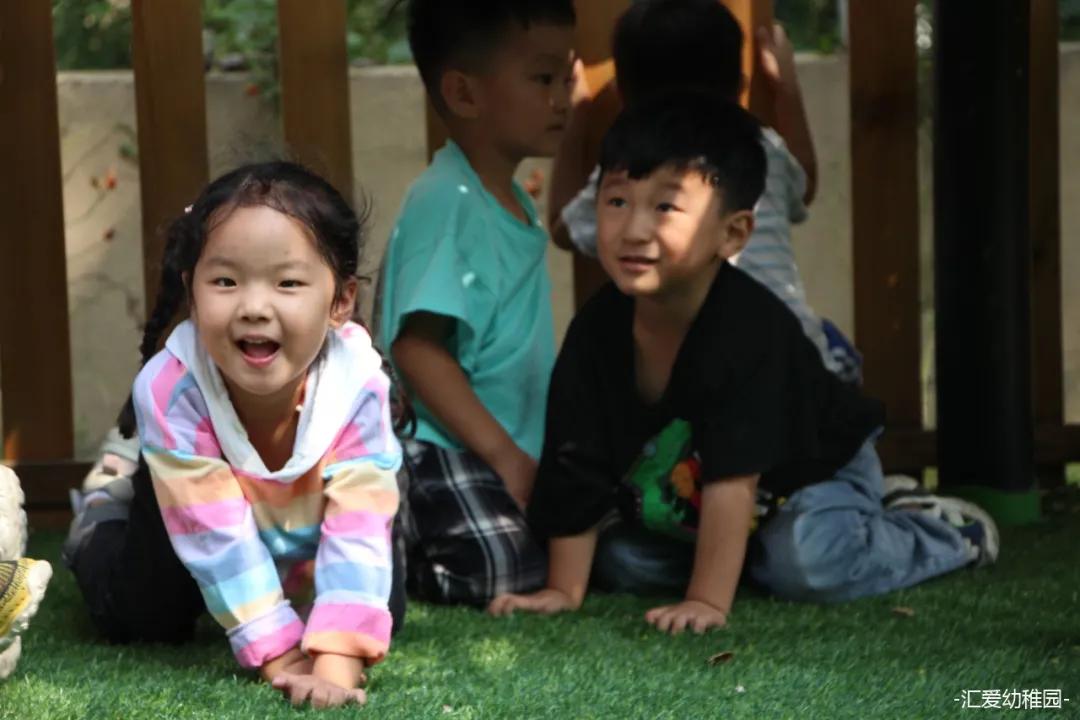 汇爱幼稚园五龙新城校区面积,汇爱幼稚园五龙新城怎么样