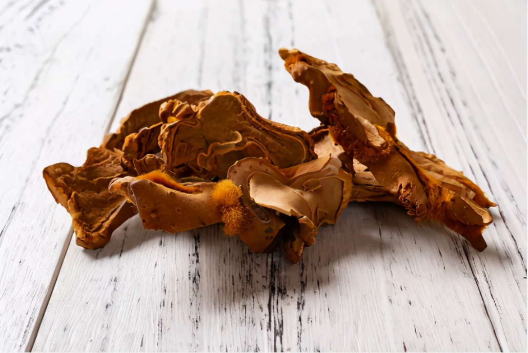 金毛狗脊的图片与功效,中药金狗只有什么功效呢