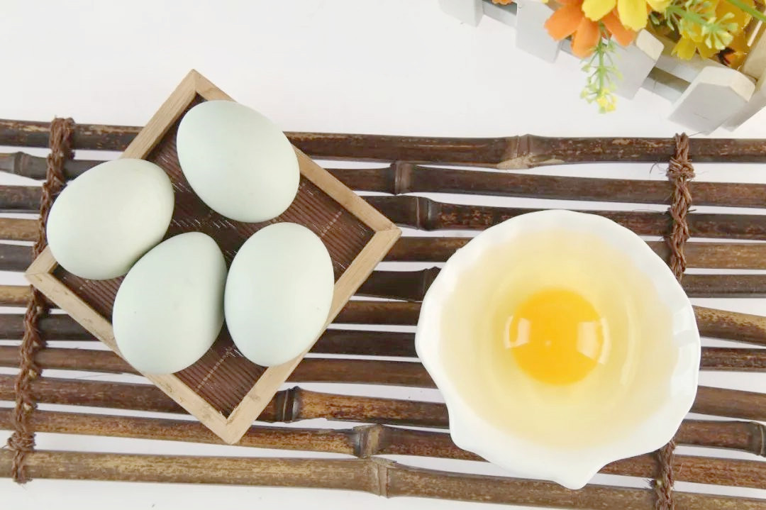 绿壳乌鸡蛋和普通鸡蛋的区别,绿壳鸡蛋的营养价值与保健功效