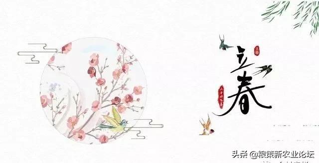 为什么把2020年定为双春年,双春年有什么说法