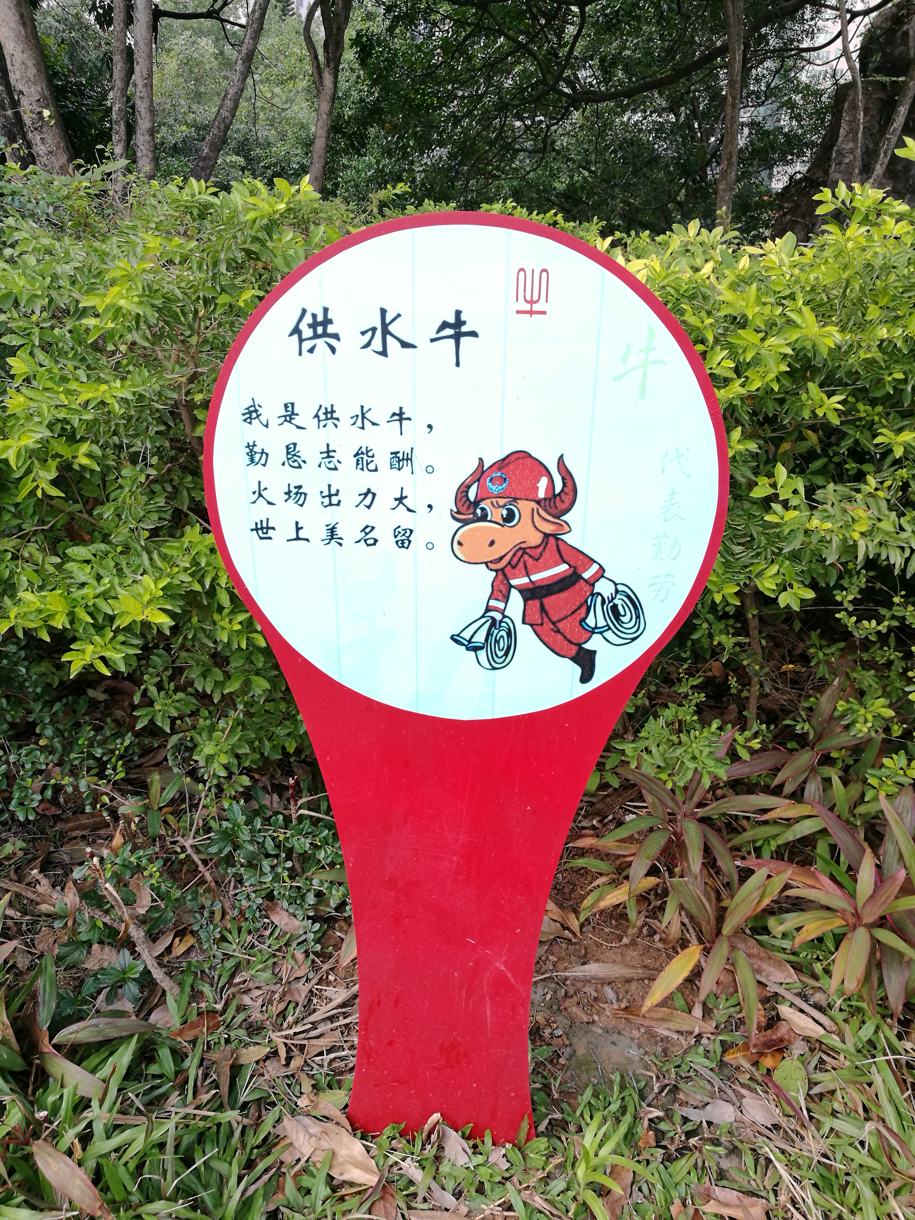 平安夜偶遇第一场雪,平安夜偶遇生日