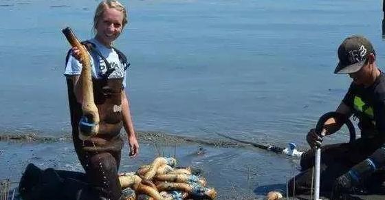 海洋最丑的海鲜 (5种长丑但好吃的海鲜)