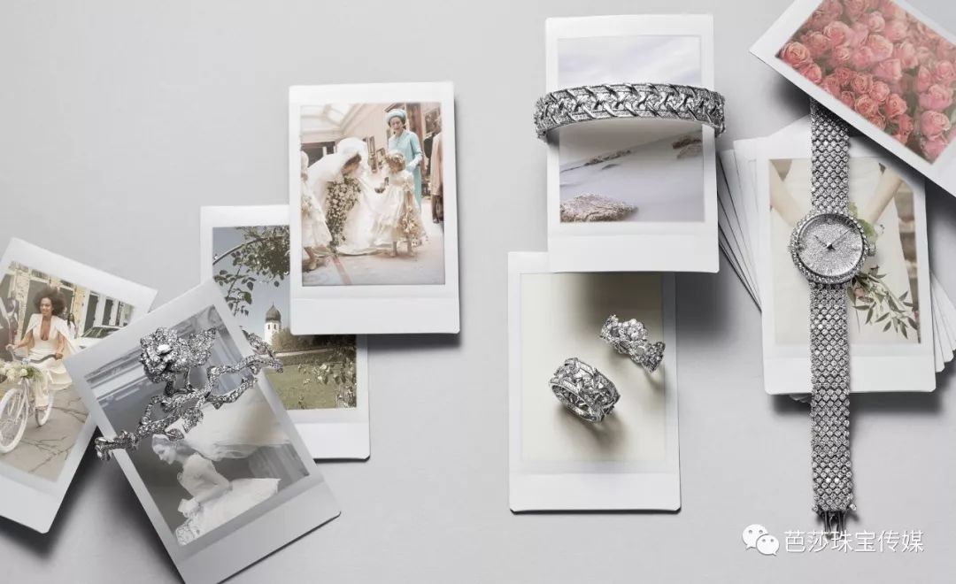 向太给郭碧婷买钻戒,向佐求婚郭碧婷钻戒