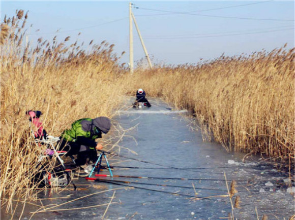 冬天钓鲫鱼的正确方法,天冷了鱼都不开口