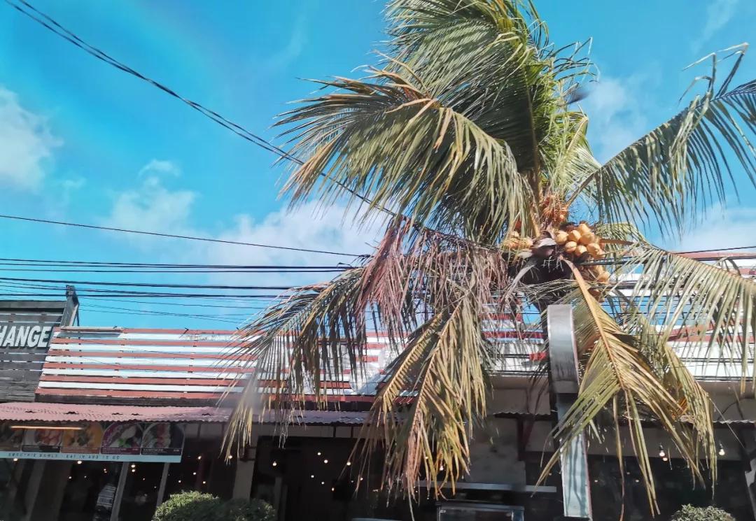 巴厘岛六天五晚游,巴厘岛五天四夜自由行攻略