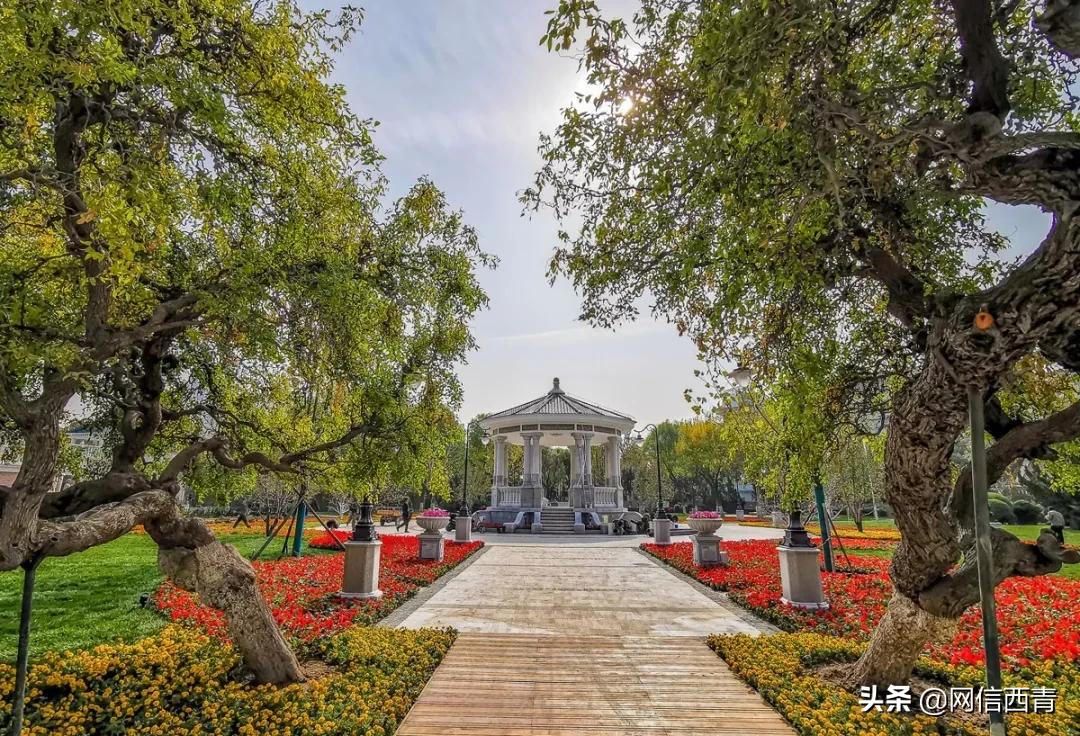 天津2022哪些公园恢复开放,天津临港亲海公园什么时候开放