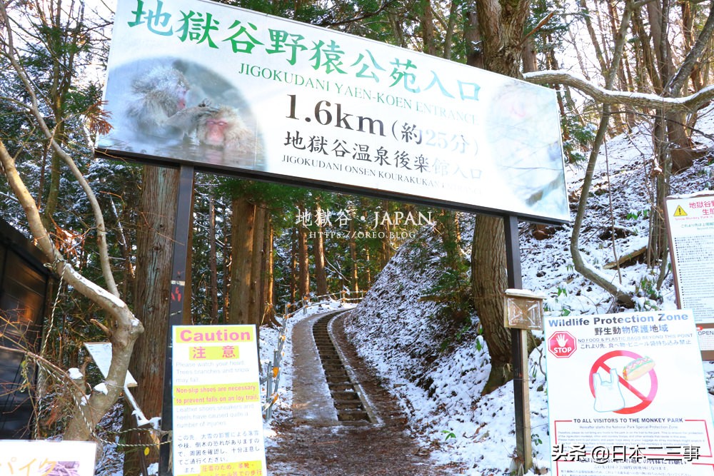 日本猴子温泉旅游攻略,日本猴子集体泡温泉表情很享受