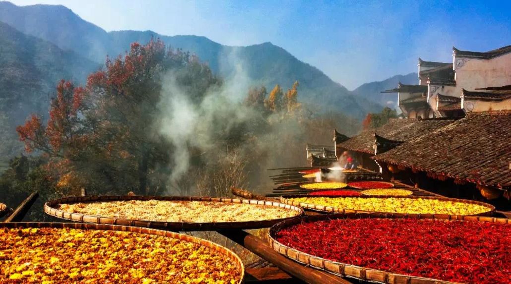 婺源篁岭赏秋,晒秋江西婺源篁岭