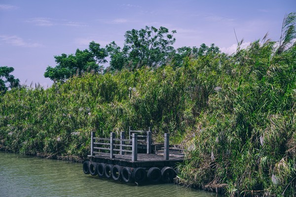 广州南沙最美风景区,南沙湾区超美风景线