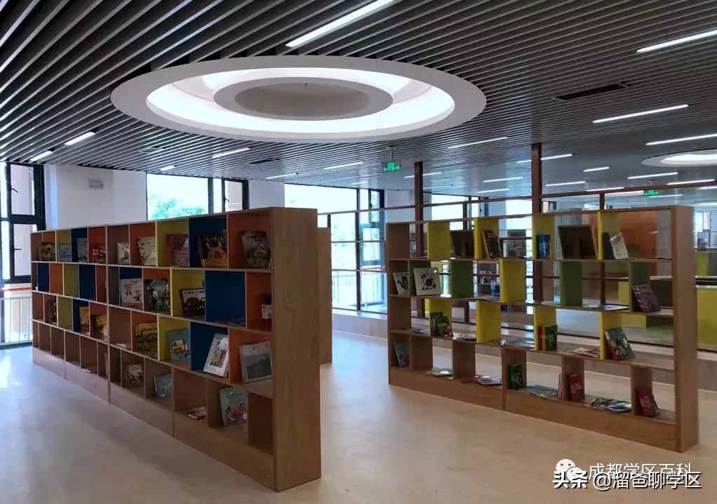 大源片区小学排名,高新区大源片区学校排名