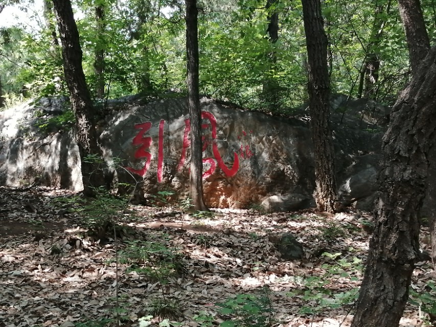 镇平菩提寺文物,镇平菩提寺是八大名寺吗