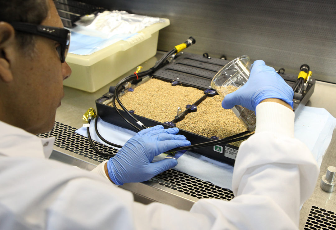 科普在太空种菜的诸多学问,太空上为什么能种菜呢