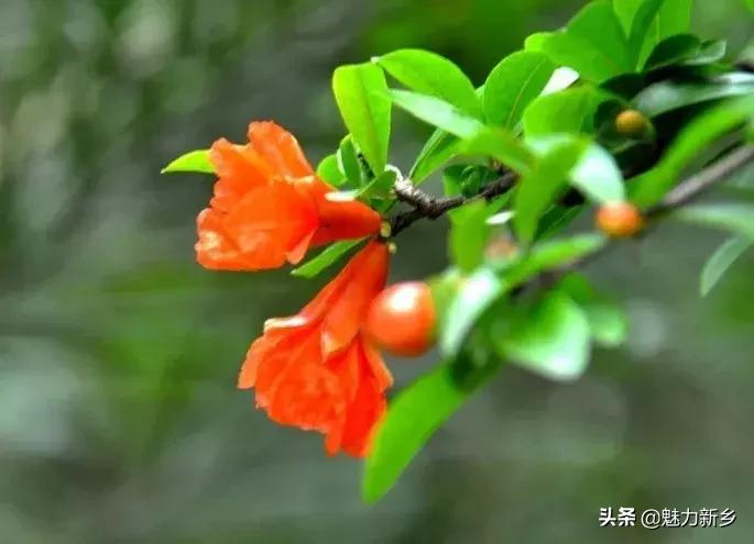 新乡故事完整版,新乡故事