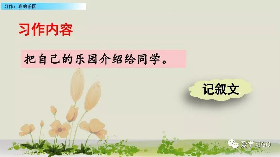 部编版我的乐园作文四年级下450字,四年级下册语文我的乐园优秀作文