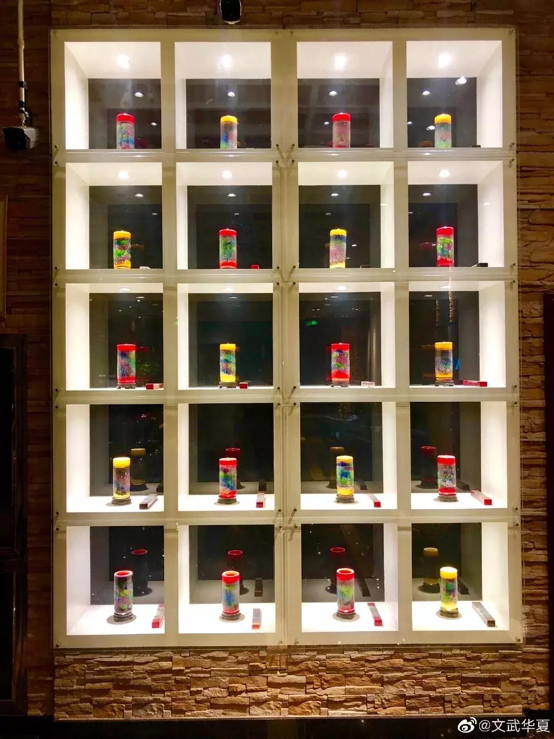 前方高能预警,前方高能预警有多高能