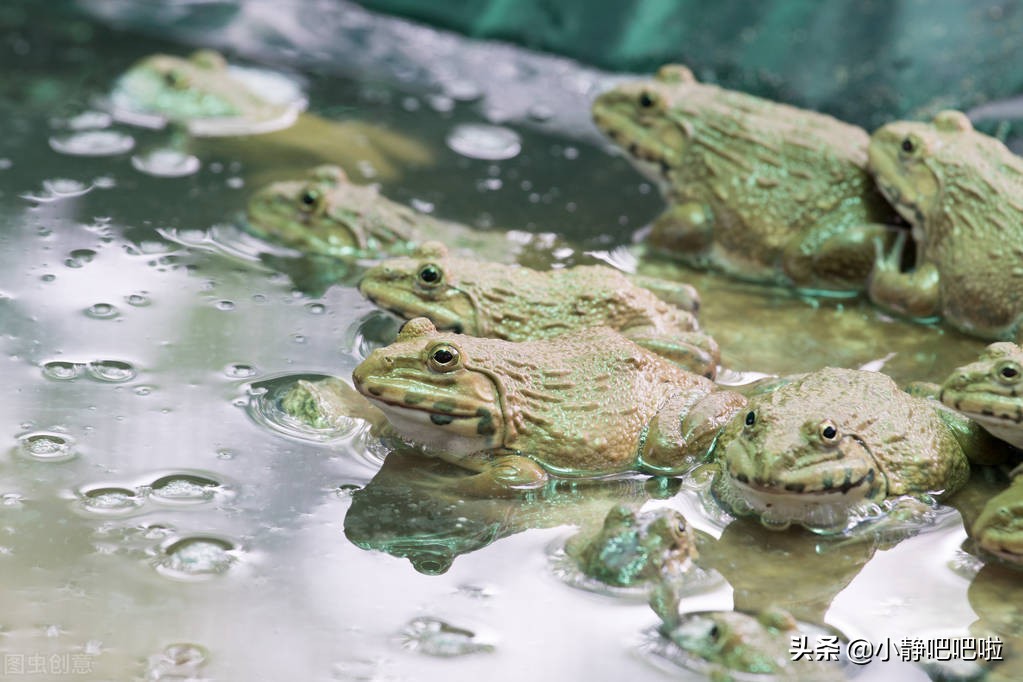 你所不知道的神秘国家古巴,古巴的十个冷知识