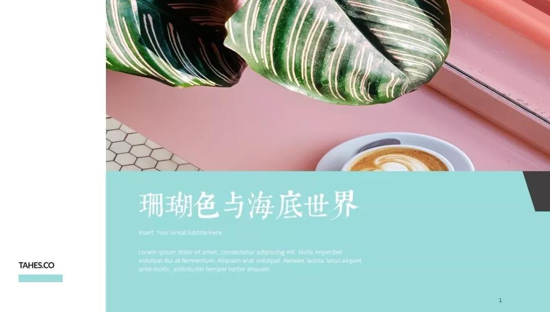 53套北欧风ppt模板限时免费领取,ins风ppt模板图片