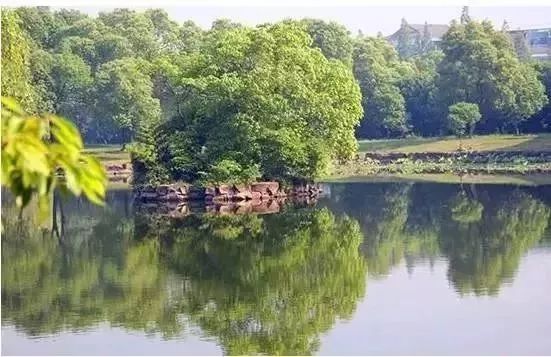 南京这些免费公园，让你任性玩个遍