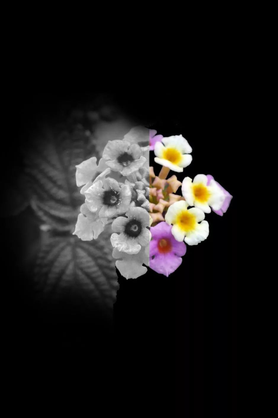 绉戠爺澹佺焊,绉戠爺浜虹殑鏂板勾澹佺焊