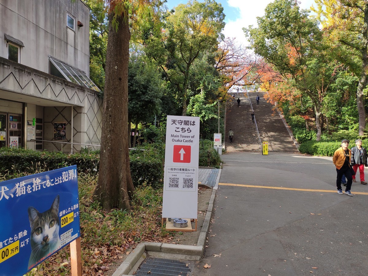 大阪马拉松跑道多少公里,日本大阪马拉松赛道怎么样