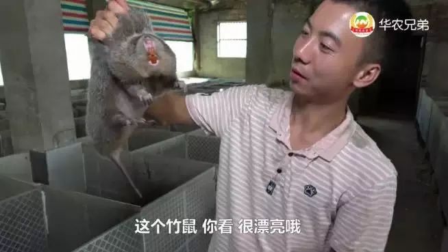 盘点那些被遗忘的网红2018,2019年十大最心酸的网红