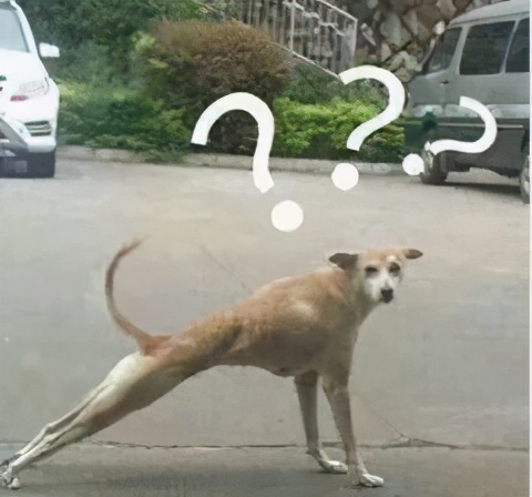 网购衣服和品牌的衣服一样,网购如何挑选有质感简约的衣服