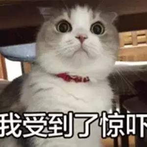 正美体态不对称,正美体态改善扁头是真的吗