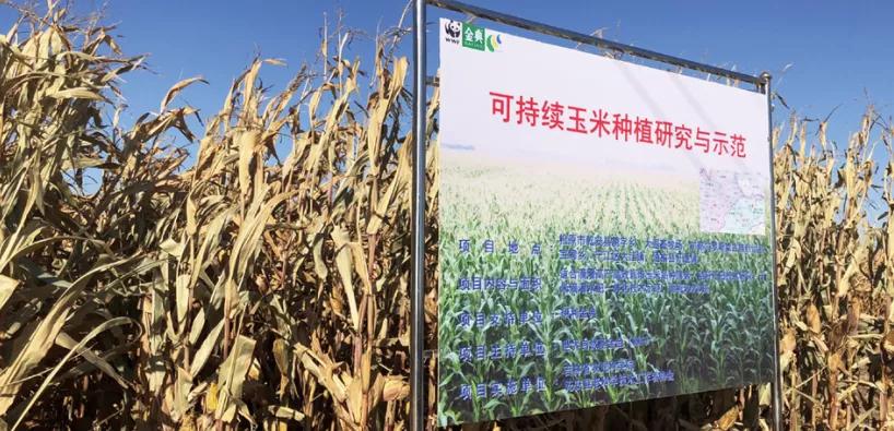 伊利企业可持续性发展,伊利乳业发展能力分析