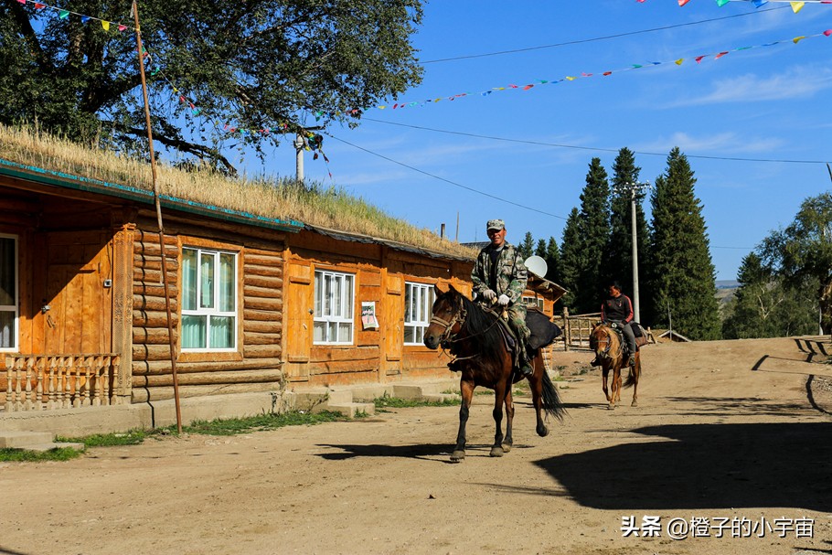 怀念琼库什台的羊毛被
