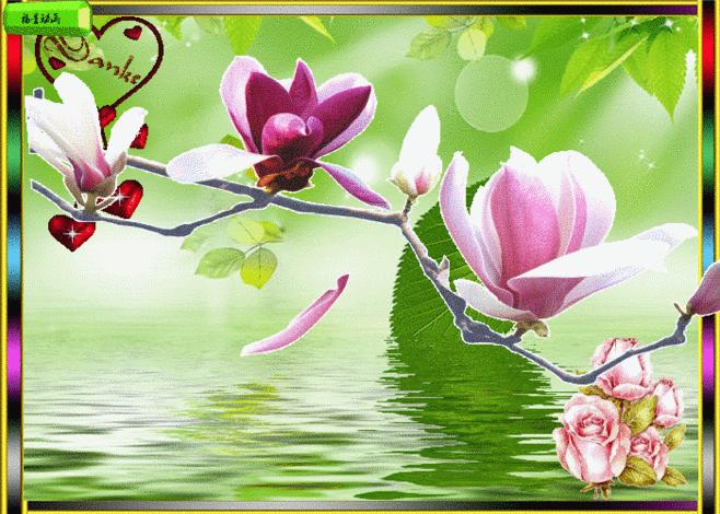 中学语文常见病句类型,初中语文常见病句类型大全