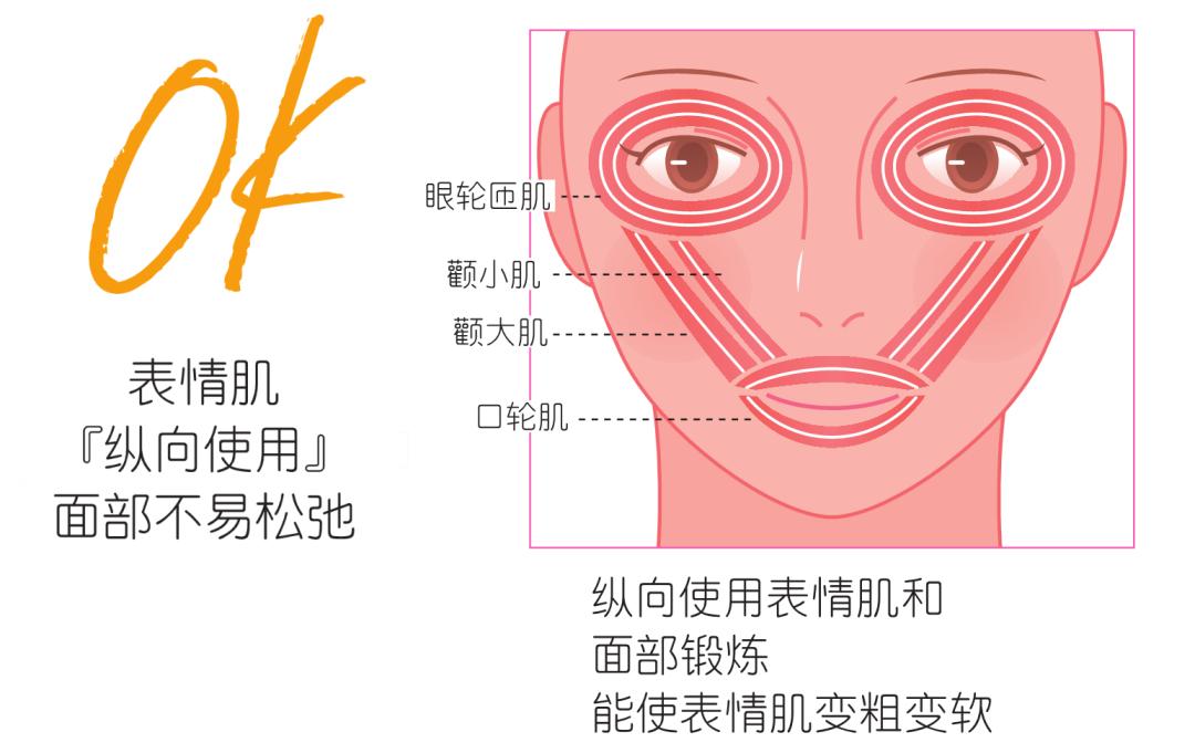 男女版审美取向图片,亚洲审美建模取向