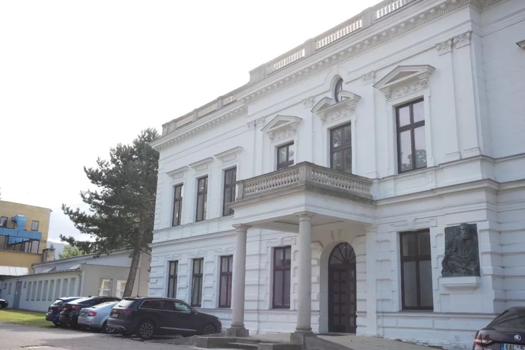 探访TON工厂看经典椅子背后的故事|疯狂24h我们去捷克干了啥？