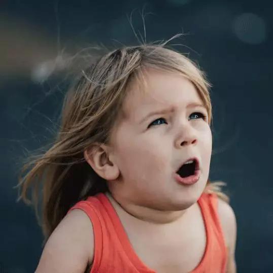 关于豢养宠物的那些事,关于饲养宠物的相关法律