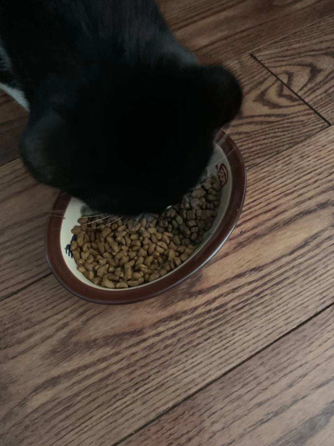 嘉蓝全阶段猫粮,嘉蓝猫粮评价