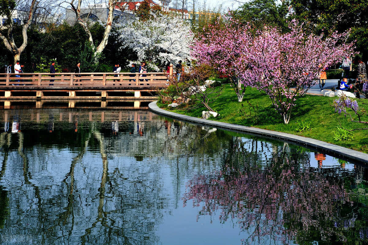 沿途的风景,沿途的风景原唱