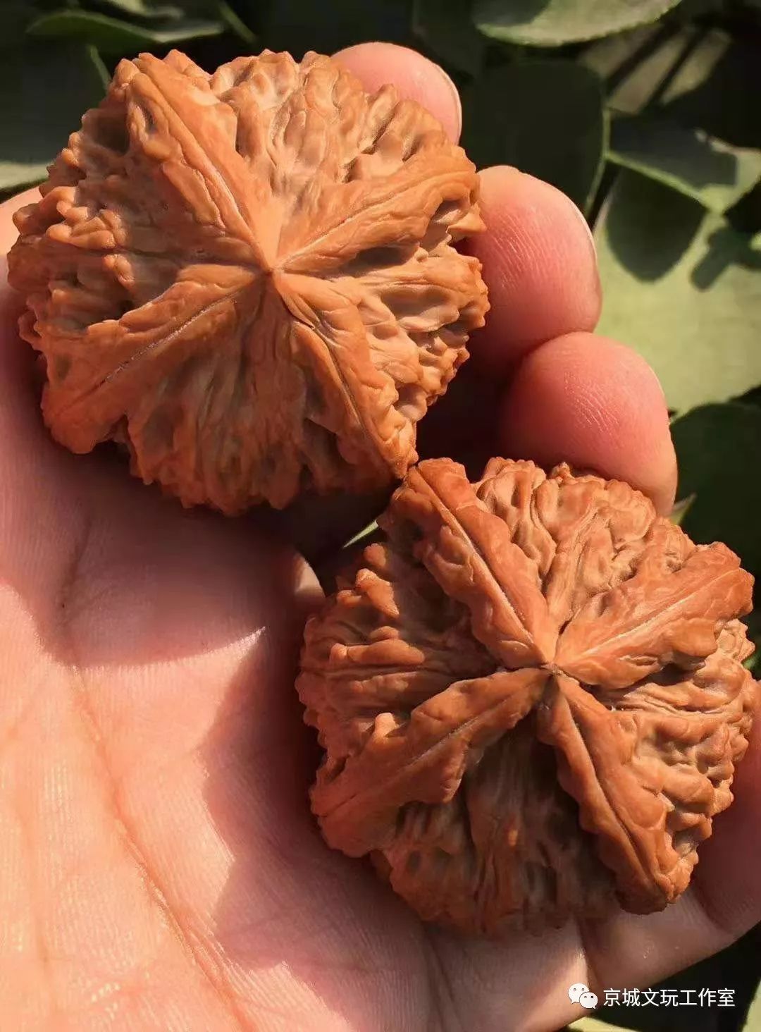 小核桃手串挑选方法,小核桃手串挑选全攻略