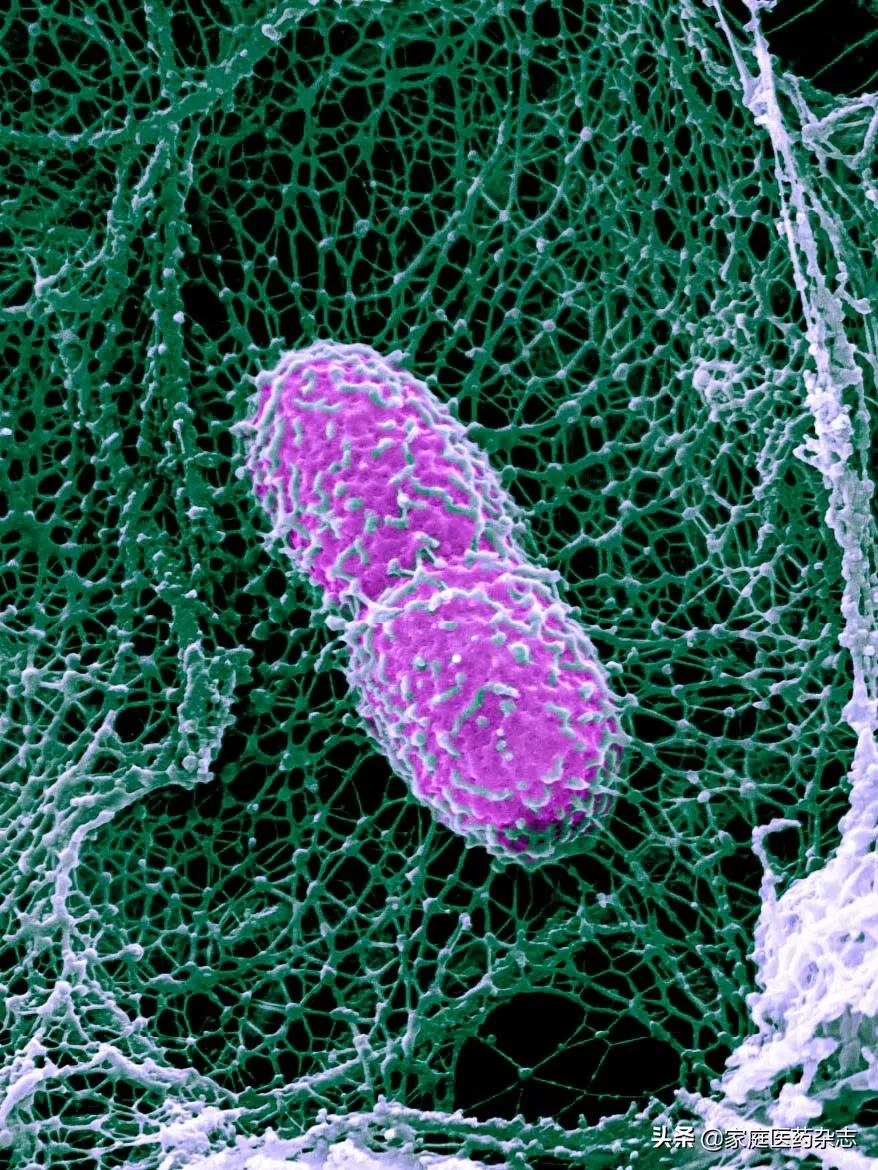 鍋囧鐥呮瘨鎰熸煋浜嗘垜,鍋囧鐥呮瘨鎰熸煋浜嗕綘