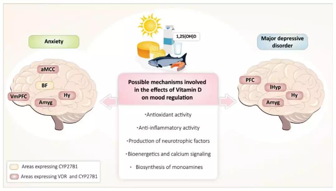 脑科学治疗失眠,脑科学治疗
